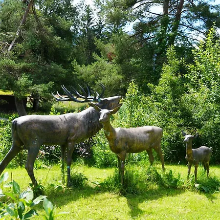 Hotel Boutique Herzhof - Garni-appartements - Adults Only Riezlern