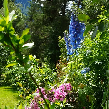 Boutique Herzhof - Garni-appartements - Adults Only
