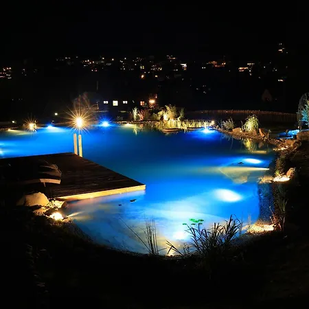 Boutique Herzhof - Garni-appartements - Adults Only 4* Riezlern